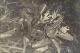 Filmstrip Thumbnail