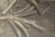 Filmstrip Thumbnail