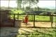 Filmstrip Thumbnail