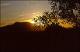 Filmstrip Thumbnail