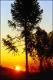 Filmstrip Thumbnail