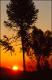 Filmstrip Thumbnail
