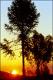 Filmstrip Thumbnail
