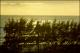 Filmstrip Thumbnail