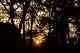 Filmstrip Thumbnail