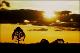 Filmstrip Thumbnail