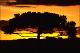 Filmstrip Thumbnail