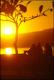 Filmstrip Thumbnail