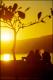 Filmstrip Thumbnail