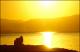 Filmstrip Thumbnail