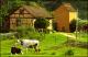 Filmstrip Thumbnail