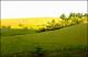 Filmstrip Thumbnail