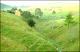 Filmstrip Thumbnail