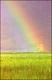Filmstrip Thumbnail