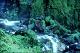 Filmstrip Thumbnail