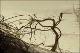 Filmstrip Thumbnail