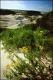 Filmstrip Thumbnail
