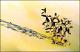 Filmstrip Thumbnail