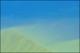 Filmstrip Thumbnail