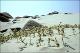 Filmstrip Thumbnail