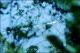Filmstrip Thumbnail