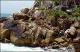 Filmstrip Thumbnail