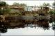 Filmstrip Thumbnail
