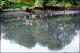 Filmstrip Thumbnail