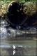 Filmstrip Thumbnail