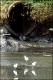 Filmstrip Thumbnail