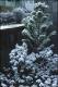 Filmstrip Thumbnail