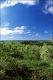 Filmstrip Thumbnail