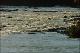 Filmstrip Thumbnail