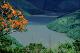 Filmstrip Thumbnail