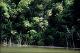 Filmstrip Thumbnail