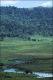 Filmstrip Thumbnail