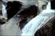 Filmstrip Thumbnail