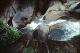 Filmstrip Thumbnail