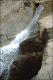 Filmstrip Thumbnail