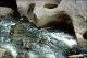 Filmstrip Thumbnail