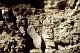 Filmstrip Thumbnail