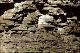 Filmstrip Thumbnail
