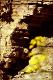 Filmstrip Thumbnail