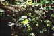 Filmstrip Thumbnail