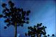 Filmstrip Thumbnail