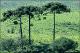 Filmstrip Thumbnail