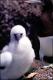 Filmstrip Thumbnail