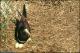 Filmstrip Thumbnail