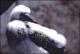 Filmstrip Thumbnail