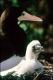 Filmstrip Thumbnail